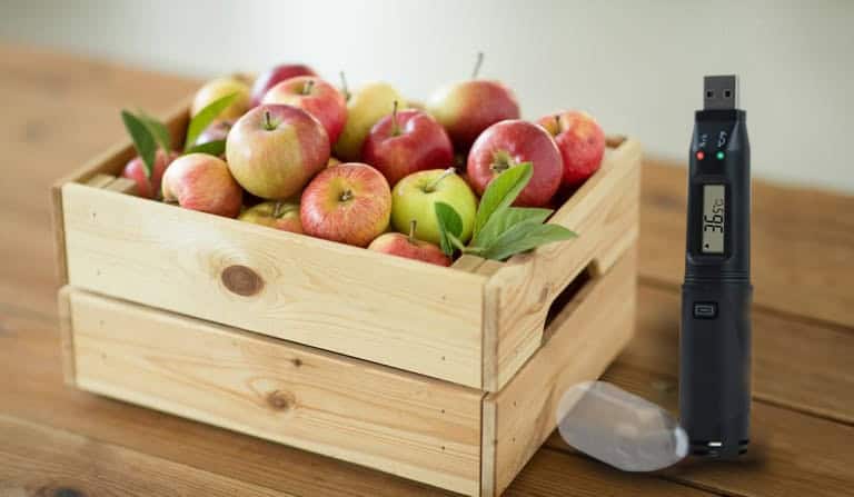 EL-USB with fruit